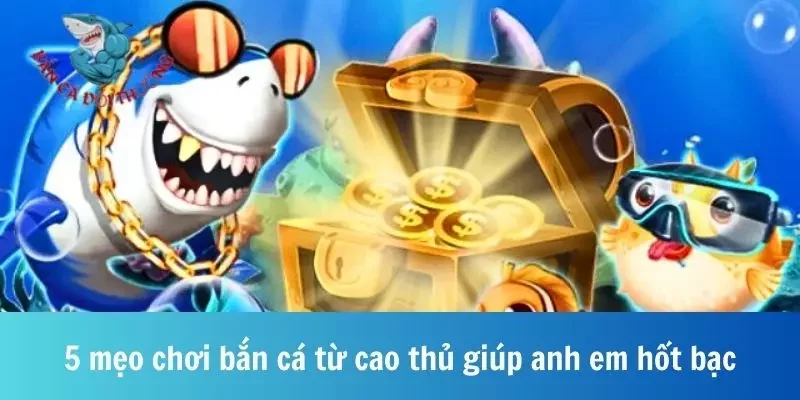 5 mẹo chơi bắn cá từ cao thủ giúp anh em hốt bạc